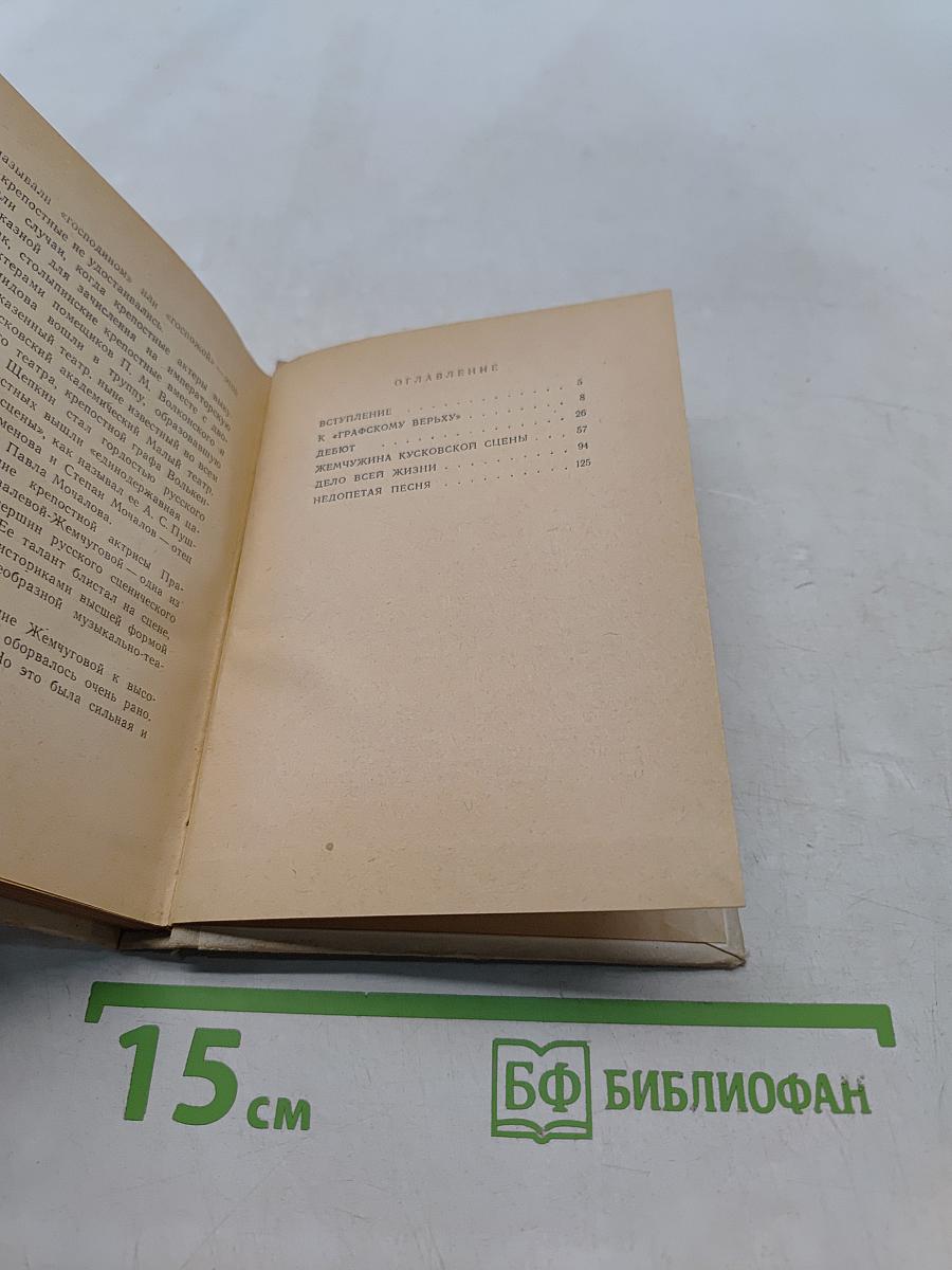 Недопетая песня