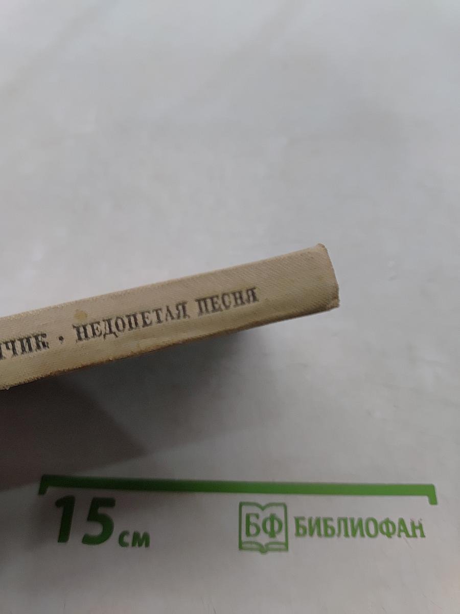 Недопетая песня