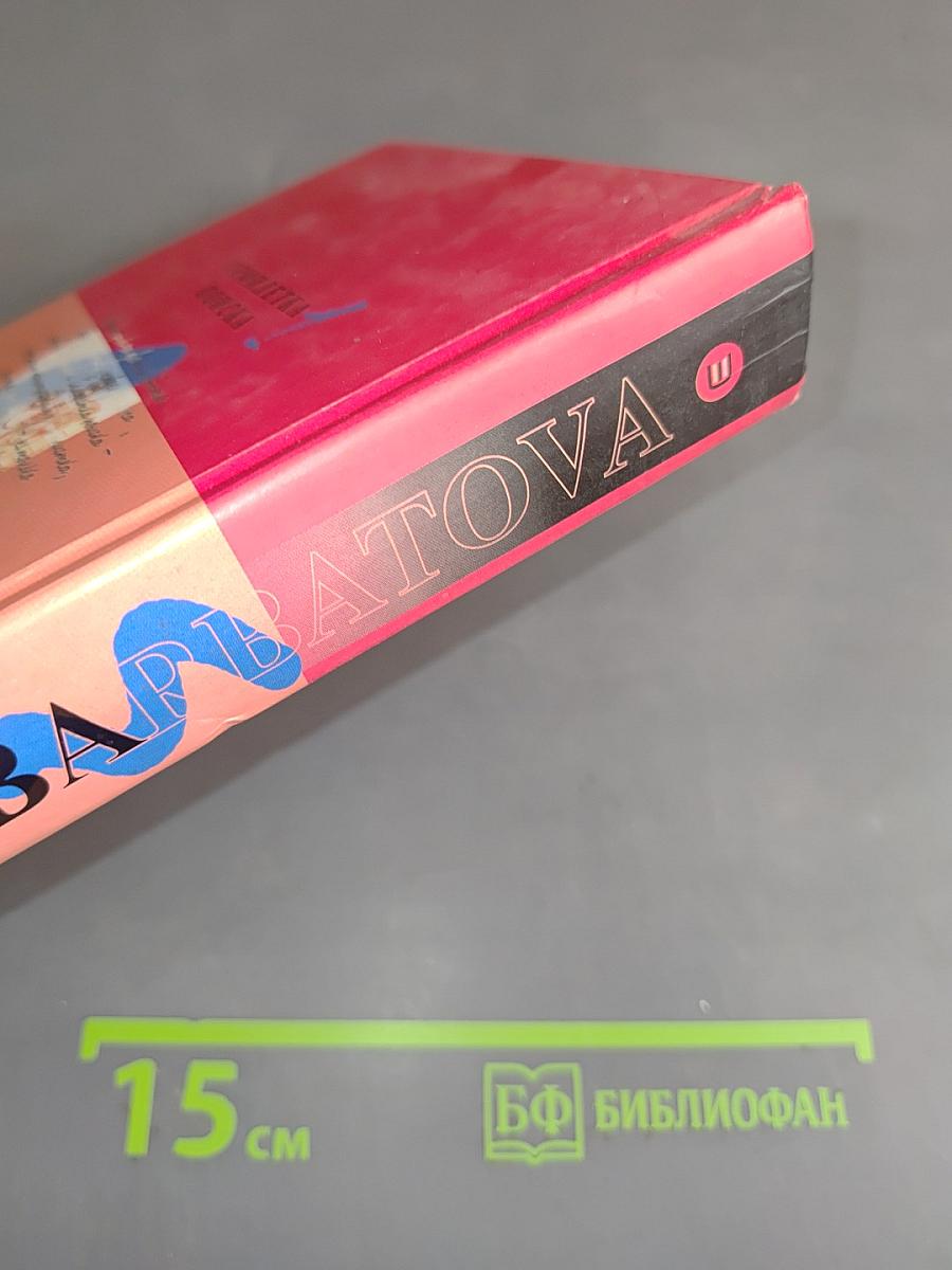 Семилетка поиска. Книга 1