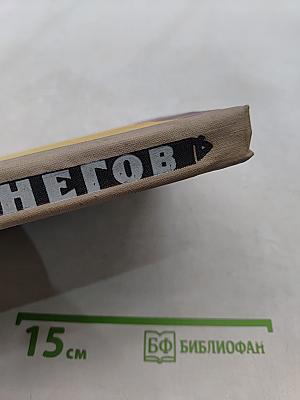 Тигр Снегов