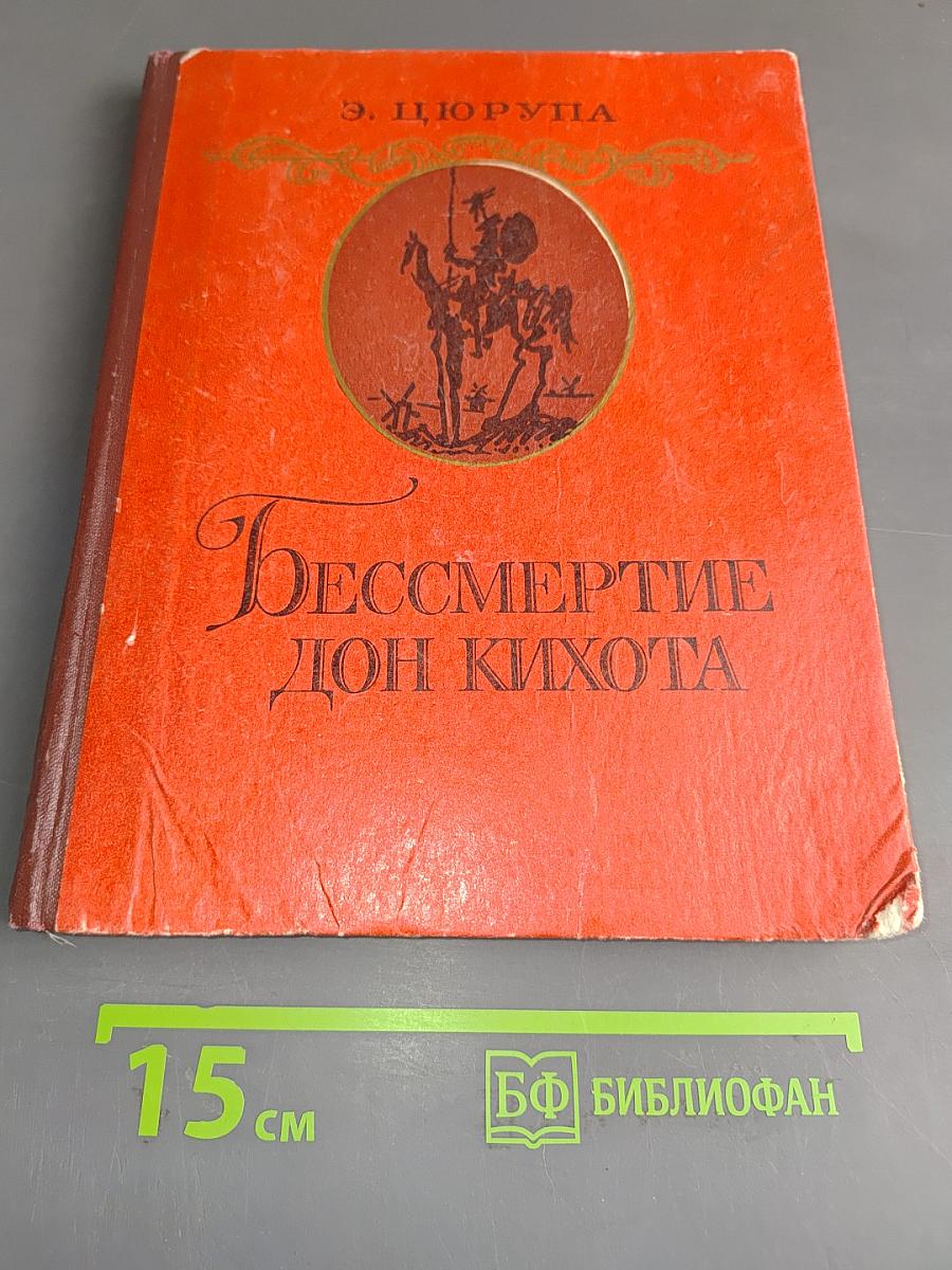 Бессмертие Дон Кихота