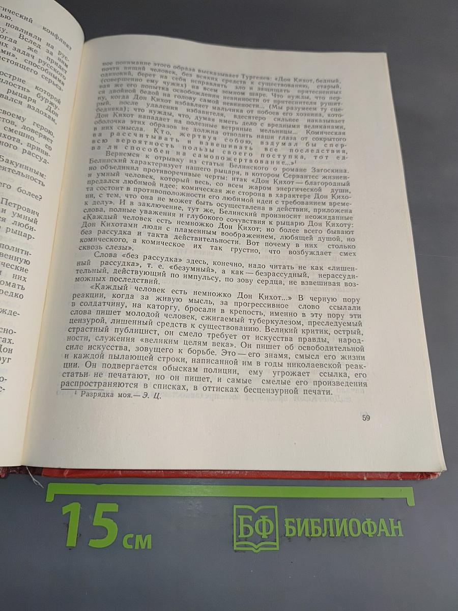 Бессмертие Дон Кихота