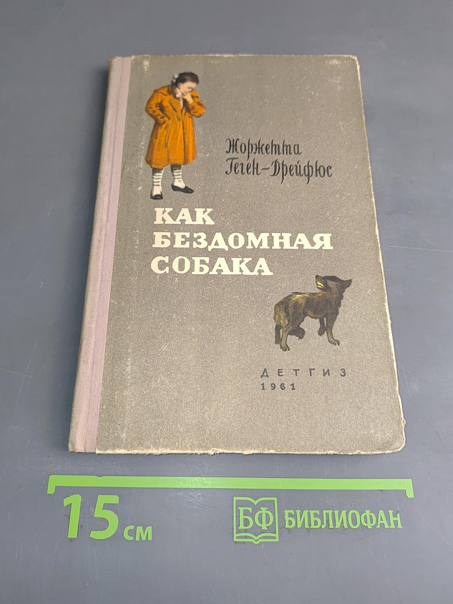 Как бездомная собака