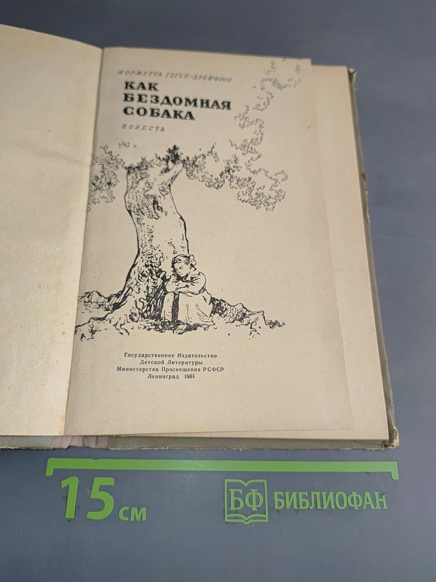 Как бездомная собака
