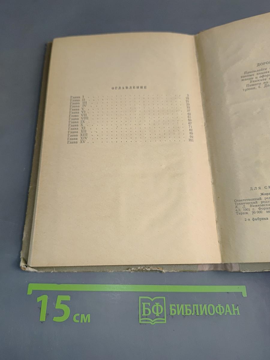 Как бездомная собака