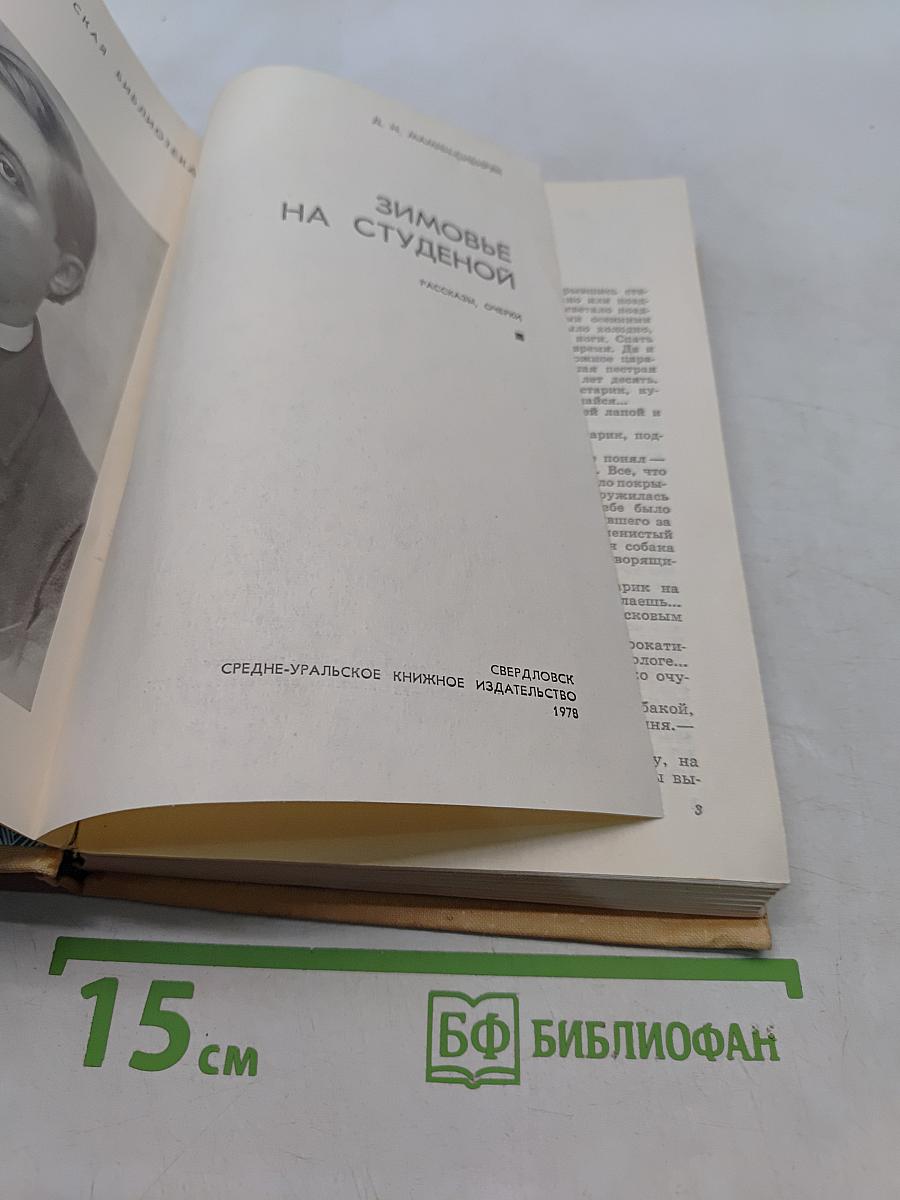 Зимовье на студенной