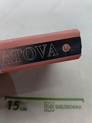 Семилетка поиска. Книга II