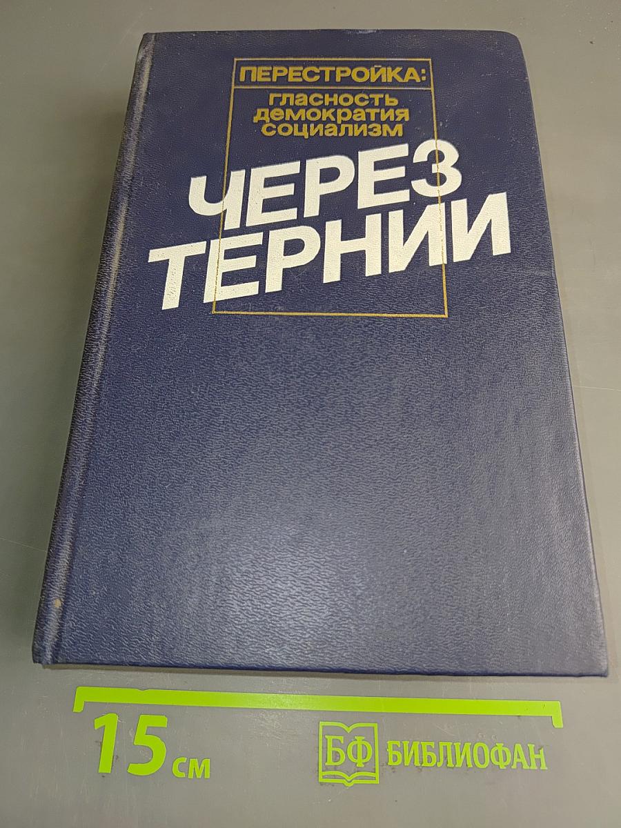 Перестройка: гласность, демократия, социализм. Через тернии