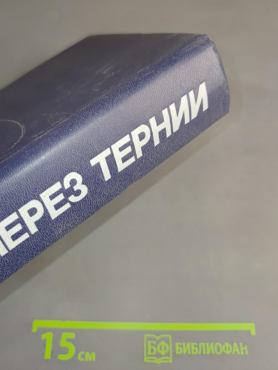 Перестройка: гласность, демократия, социализм. Через тернии