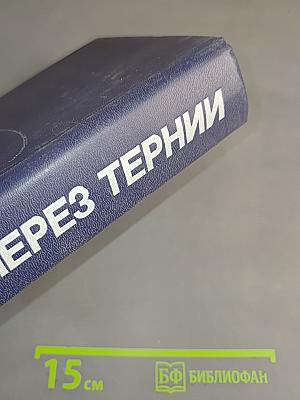Перестройка: гласность, демократия, социализм. Через тернии