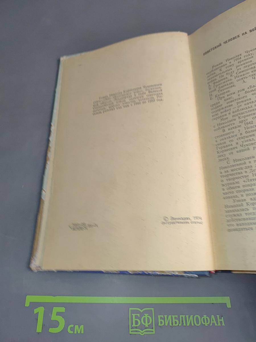 Балтийское небо