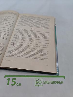 Вечерняя прогулка