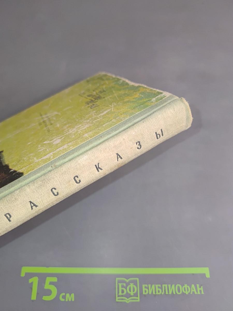 Рассказы