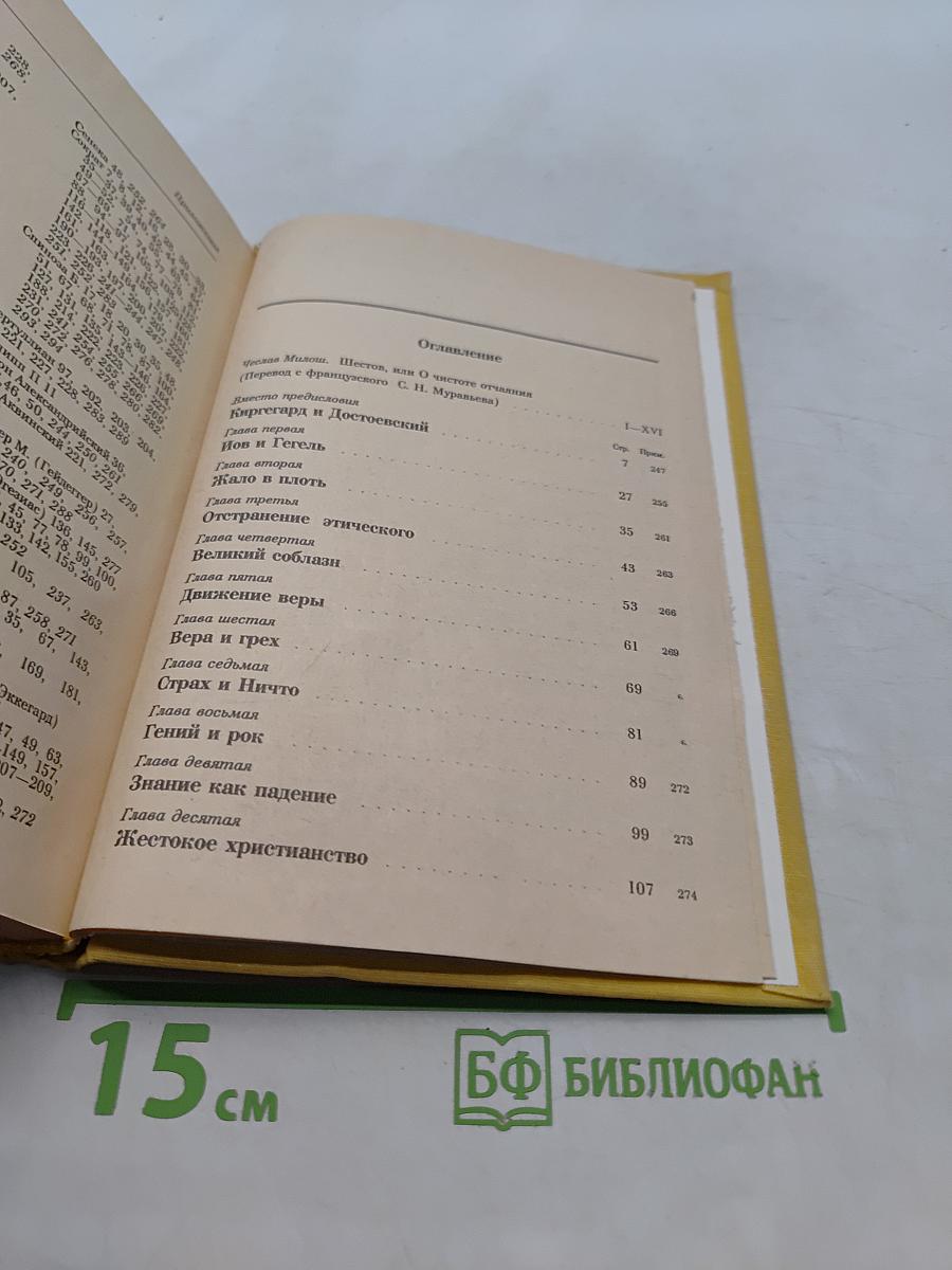 Киргегард и экзистенциальная философия (Глас вопиющего в пустыне)