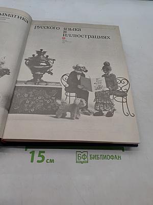 Грамматика русского языка в иллюстрациях