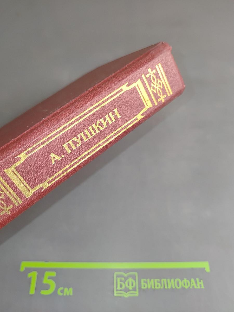 Стихотворения. Поэмы. Сказки. «Евгений Онегин». Книга для ученика и учителя