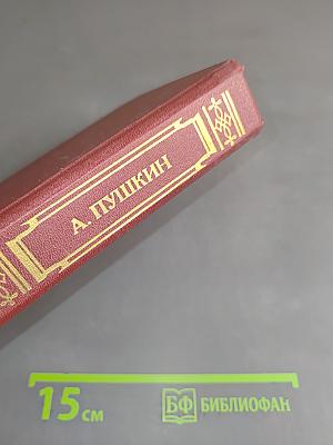 Стихотворения. Поэмы. Сказки. «Евгений Онегин». Книга для ученика и учителя