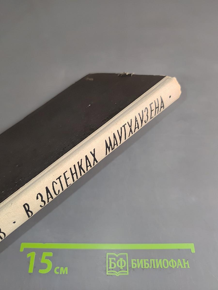 В застенках Маутхаузена