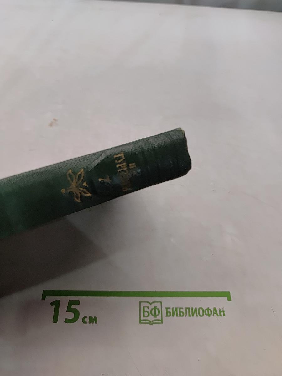 Собрание сочинений. Том седьмой. Повести и рассказы 1852-1870