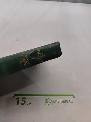 Собрание сочинений. Том седьмой. Повести и рассказы 1852-1870