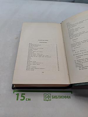 Собрание сочинений. Том 10. Стихотворения, поэмы, литературные и житейские воспоминания, переводы