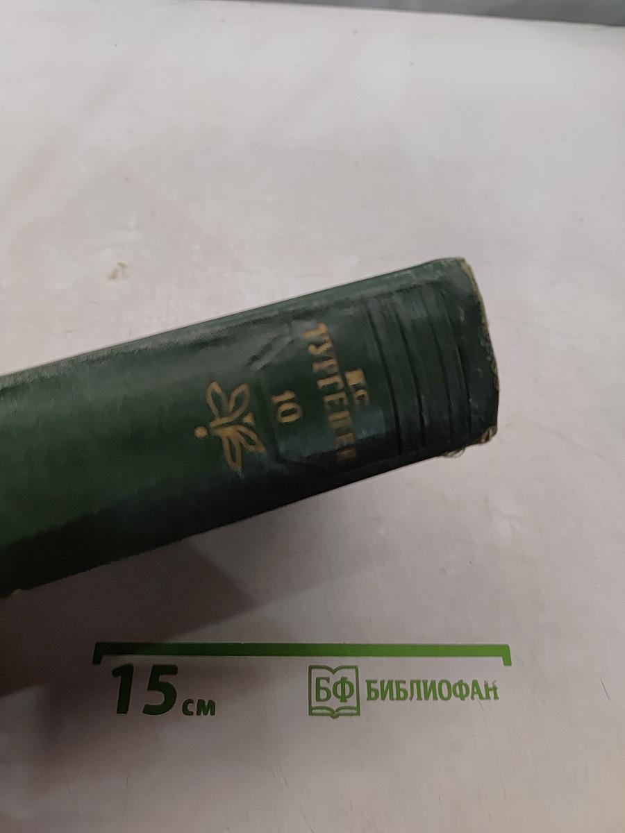 Собрание сочинений. Том 10. Стихотворения, поэмы, литературные и житейские воспоминания, переводы