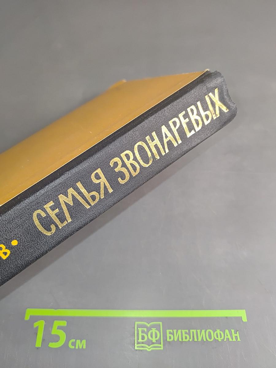 Семья Звонаревых. Книга вторая