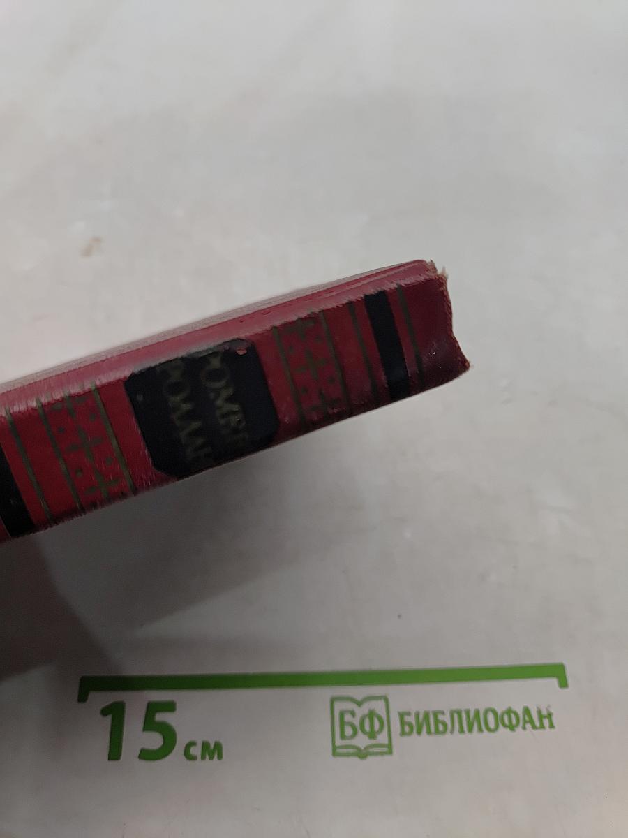 Собрание сочинений. Том девятый. Очарованная душа. Книга третья