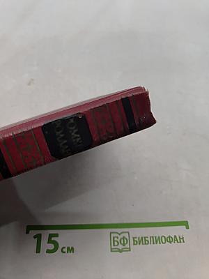Собрание сочинений. Том девятый. Очарованная душа. Книга третья