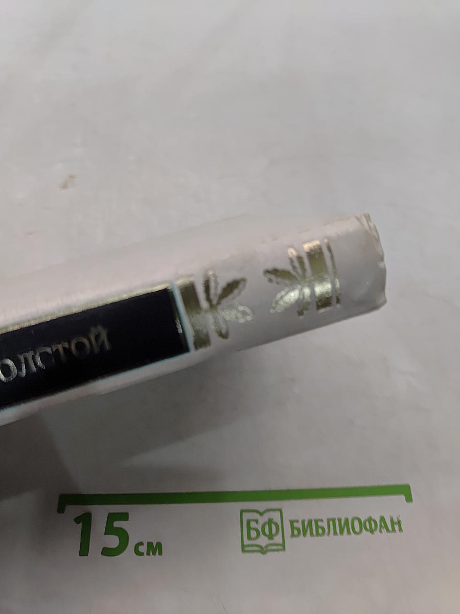 Война и мир. Том III