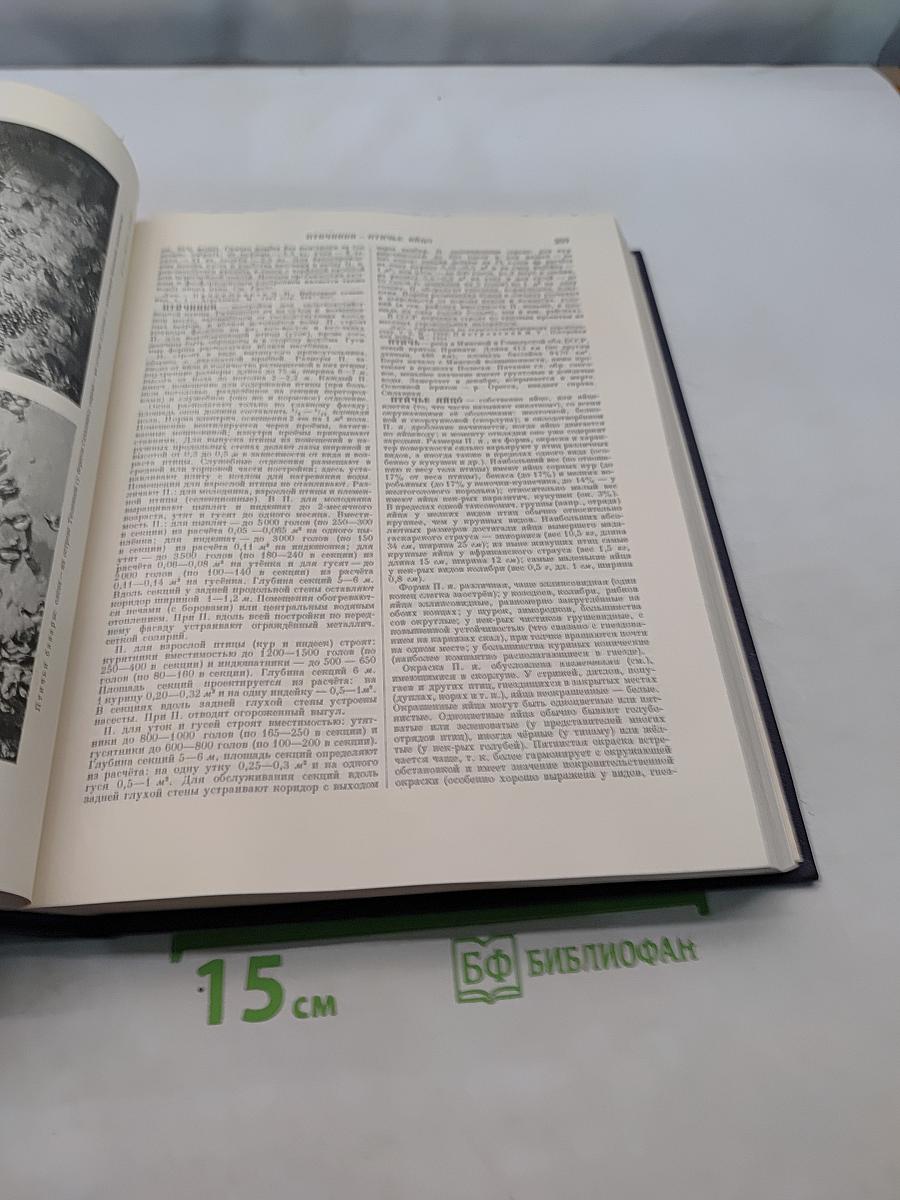 Большая Советская Энциклопедия. Том 35. Прокат – Раковины