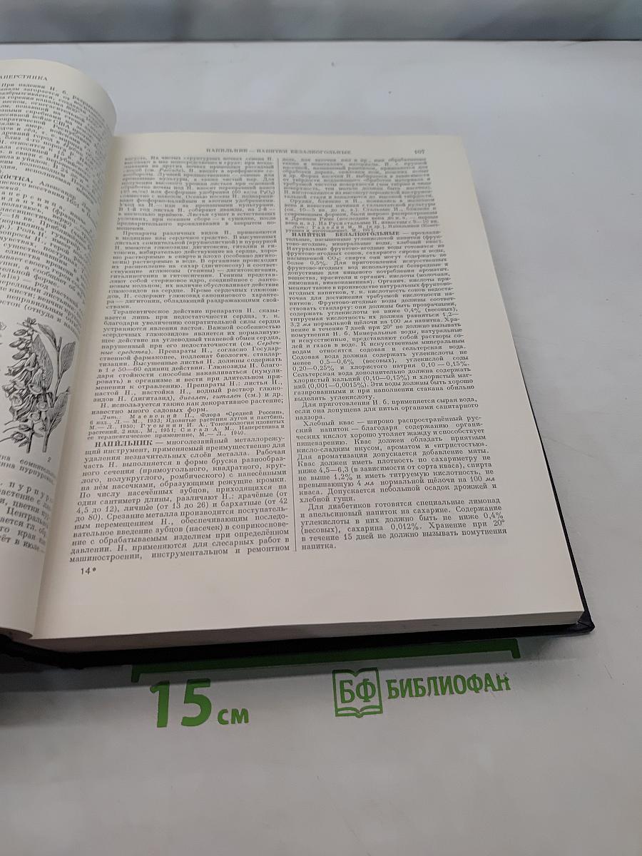 Большая Советская Энциклопедия. Том 29. Николаев - Ницше