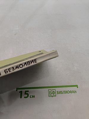 Дорога через безмолвие