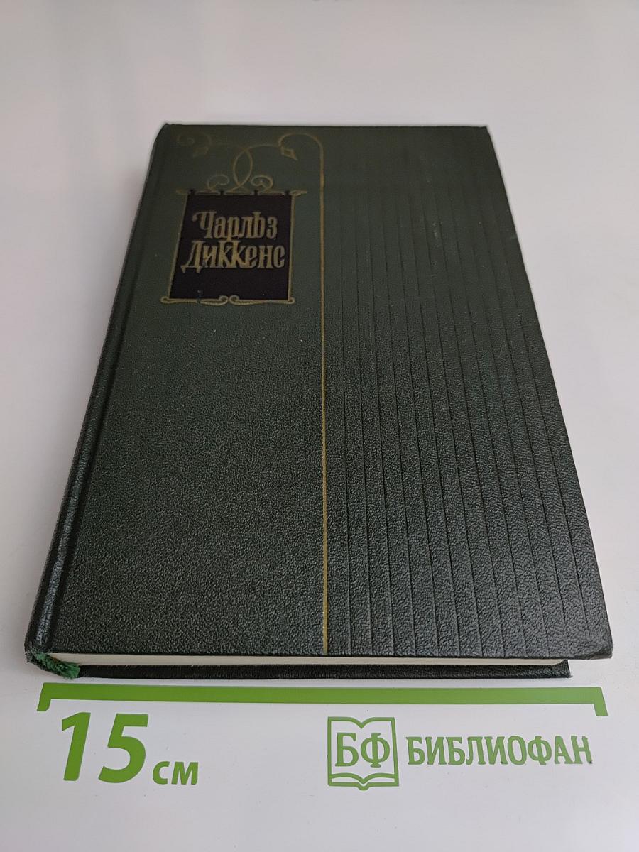 Собрание сочинений в тридцати томах. Том двадцать четвертый. Наш общий друг