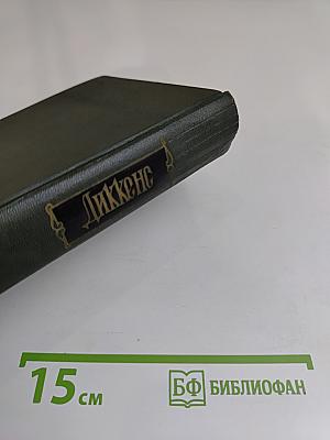 Собрание сочинений в тридцати томах. Том двадцать четвертый. Наш общий друг