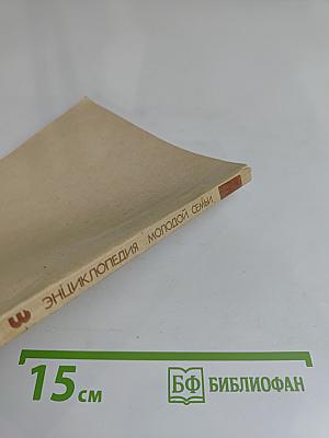 Энциклопедия молодой семьи. Книга 3. Житейские мудрости при домашних хлопотах