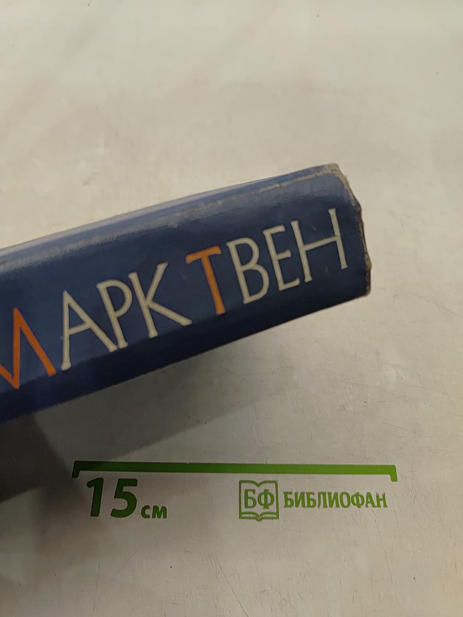 Собрание сочинений в 12 томах. Том пятый. Пешком по Европе. Принц и нищий
