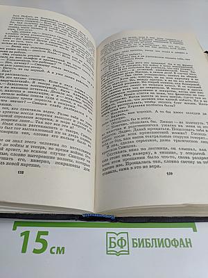Живые и мертвые. Роман в трех книгах. Книга 3. Последнее лето
