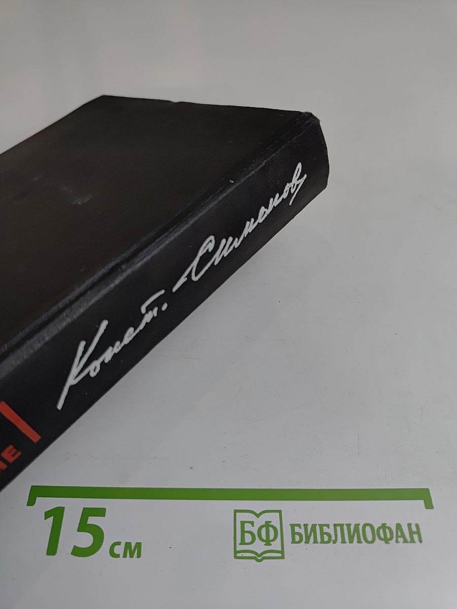 Живые и мертвые. Роман в трех книгах. Книга 3. Последнее лето