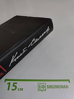 Живые и мертвые. Роман в трех книгах. Книга 3. Последнее лето