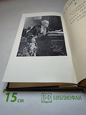 Кладовая Солнца. Глаза Земли. Корабельная Чаща