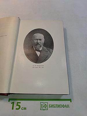 Собрание сочинений. Том восьмой. Пьесы 1879-1885