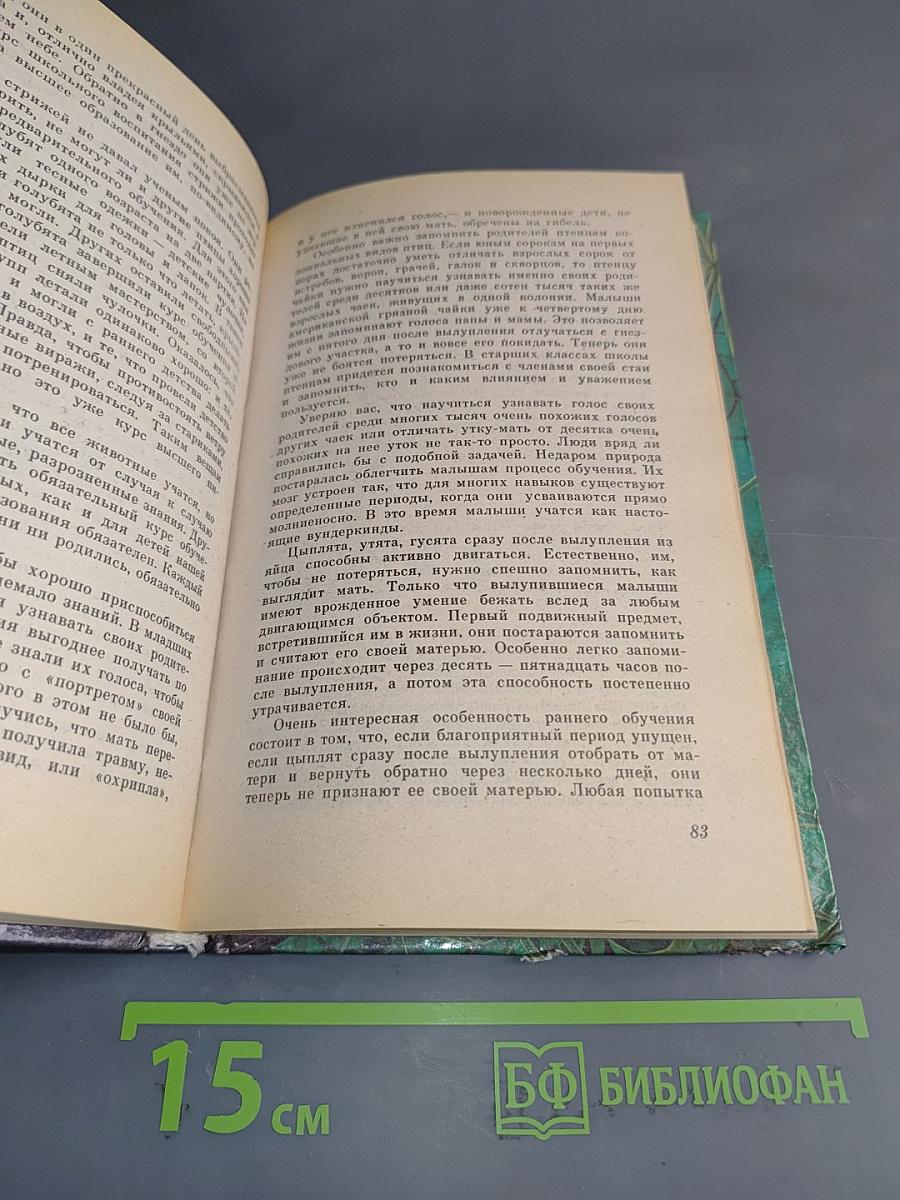 Как мозг учился думать