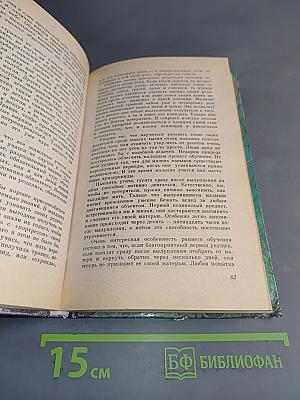 Как мозг учился думать