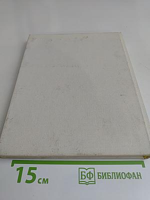 Портретная живопись В. А. Серова 1900-х годов. Основные проблемы