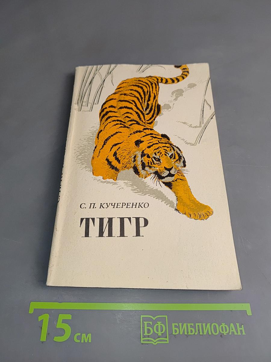 Тигр