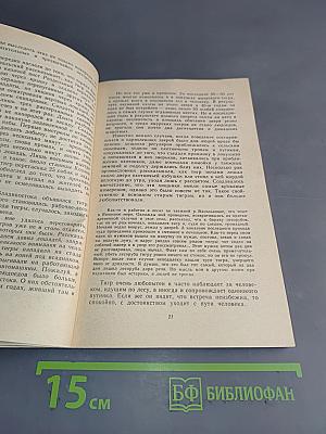Тигр