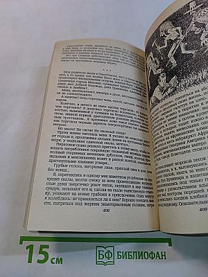 Брива в Киселе