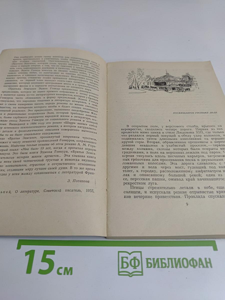 Братья Земгано
