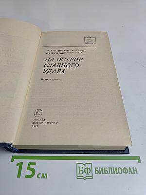 На острие главного удара